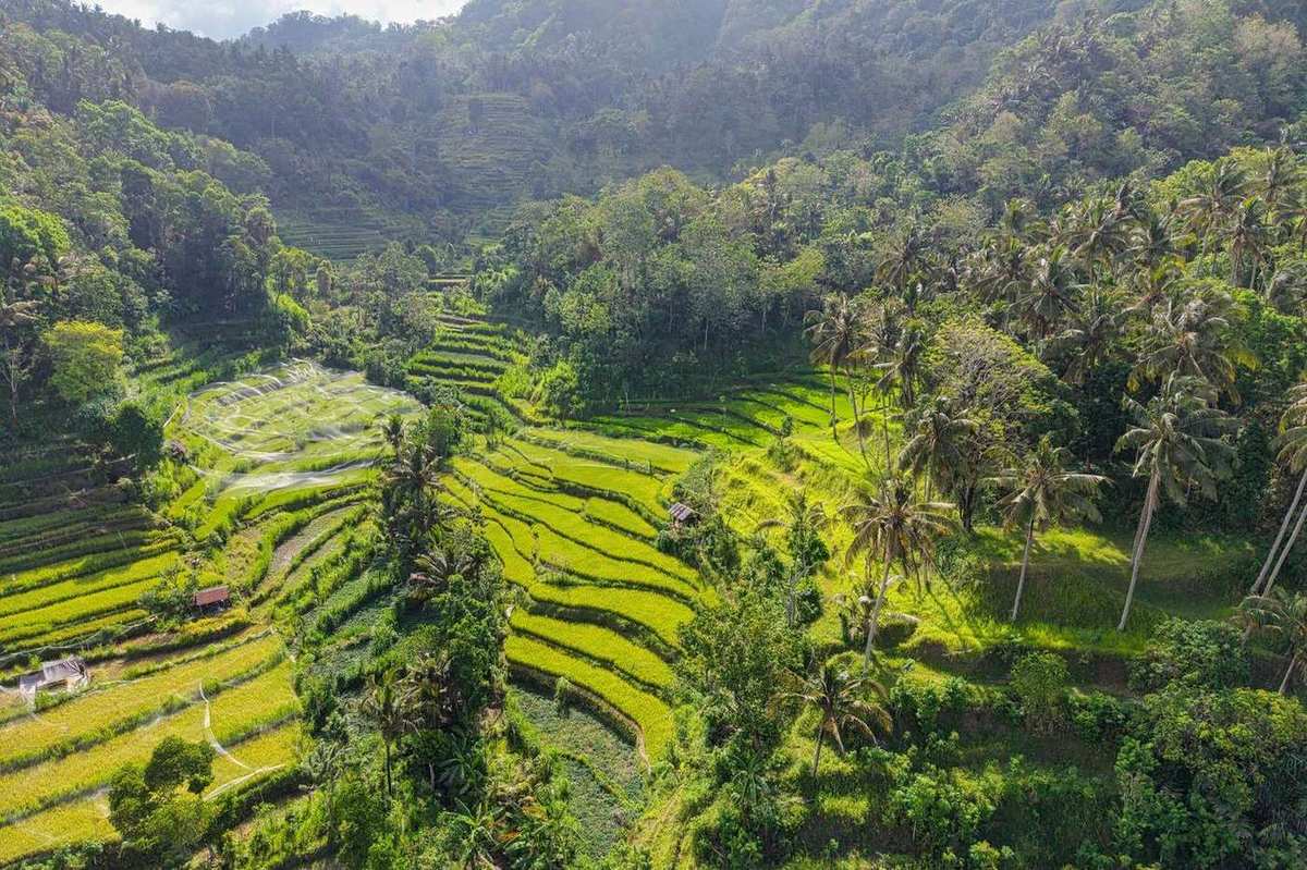 Bali: Temples, Rice Terraces & Surf guide cover