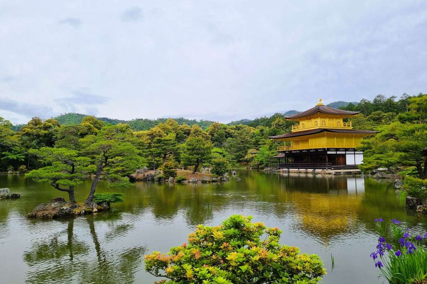 Kyoto: Temples, Gardens & Tea guide cover